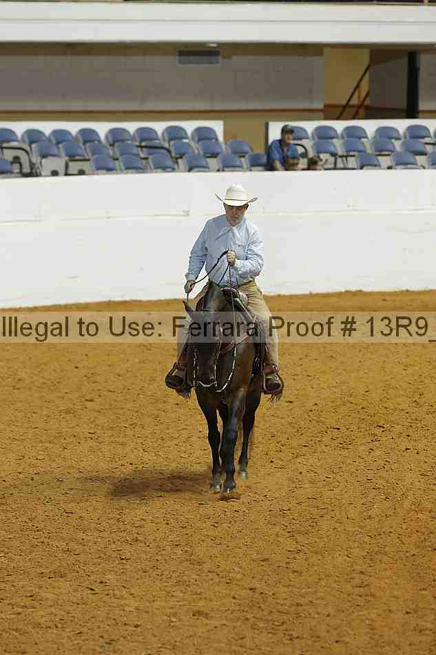 Proof 13r9_3676