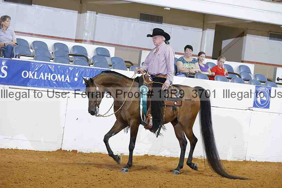 Proof 13r9_3701