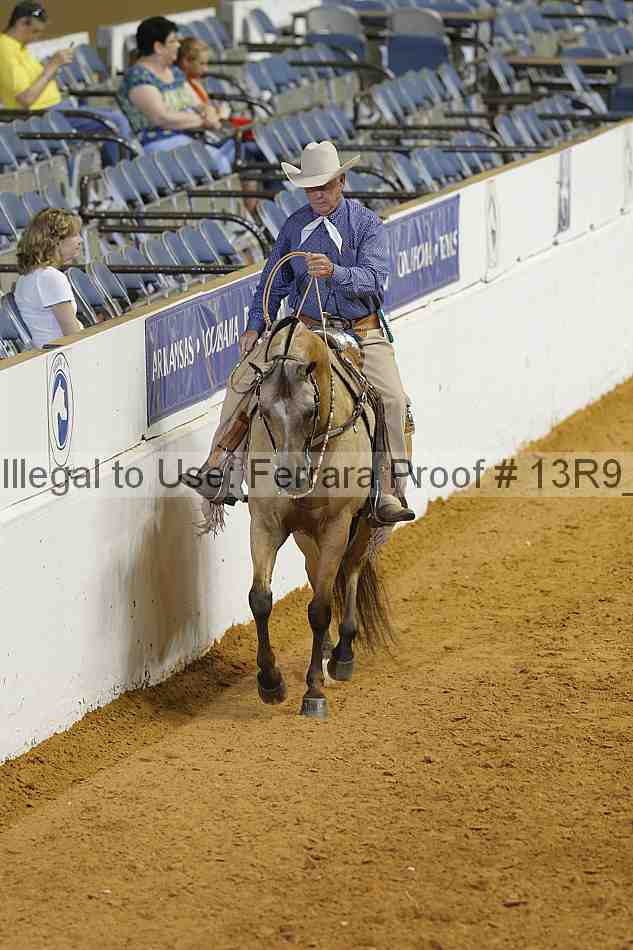 Proof 13r9_3704