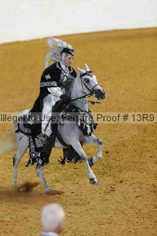 Proof 13r9_3720