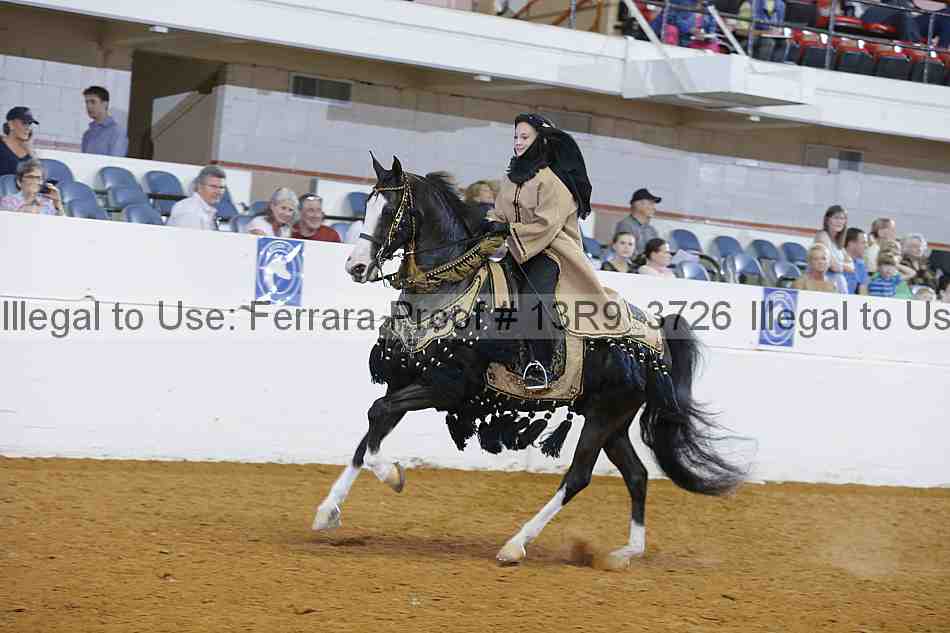 Proof 13r9_3726