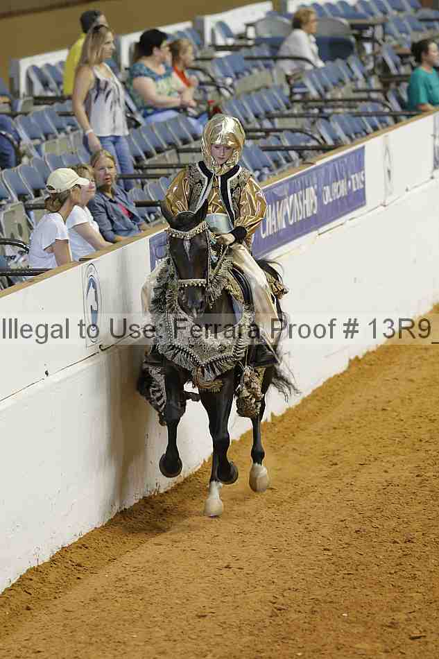 Proof 13r9_3729