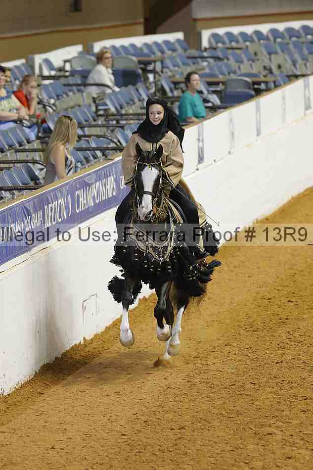 Proof 13r9_3732