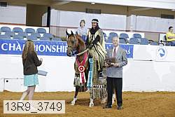 13r9_3749 proof