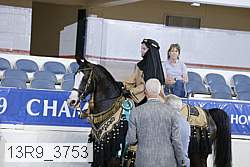 13r9_3753 proof