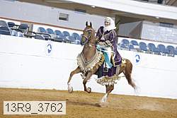 13r9_3762 proof