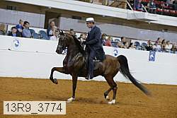 13r9_3774 proof