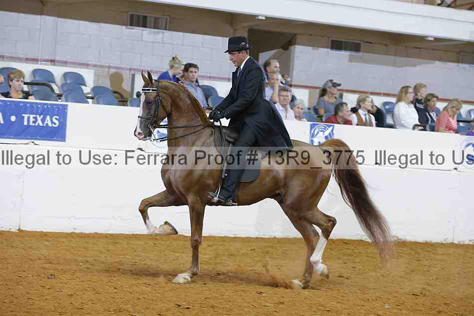 Proof 13r9_3775