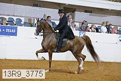 13r9_3775 proof