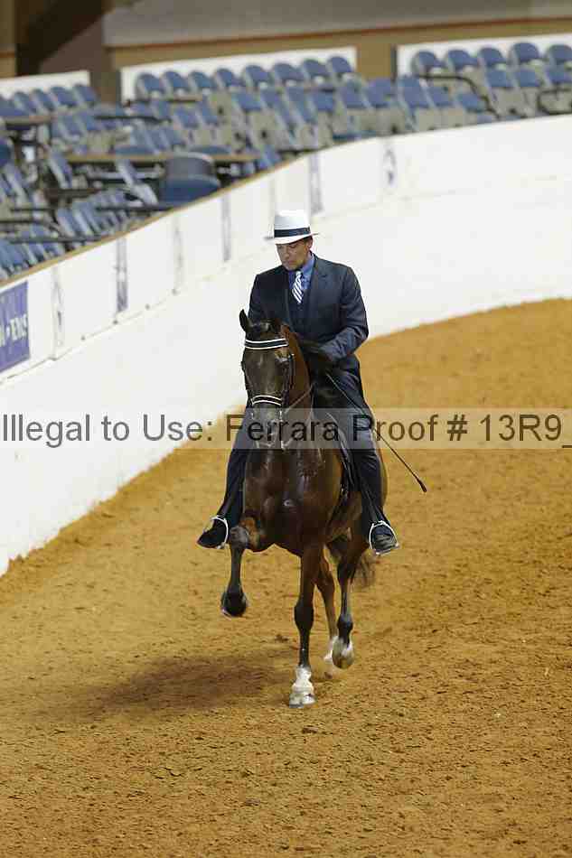 Proof 13r9_3779