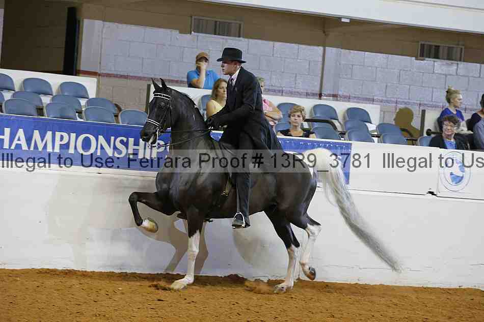 Proof 13r9_3781