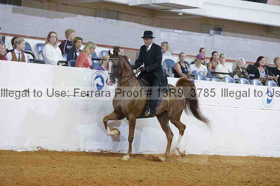 Proof 13r9_3785