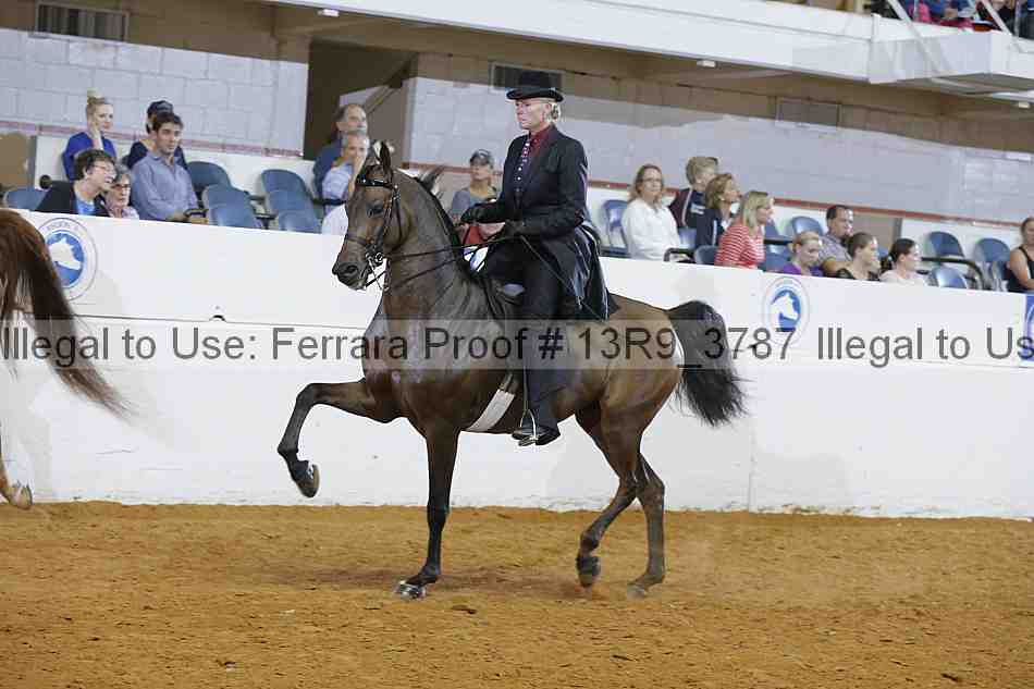 Proof 13r9_3787