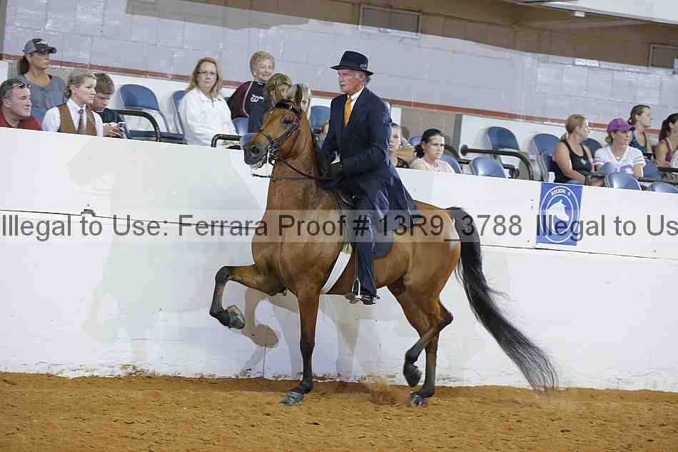 Proof 13r9_3788