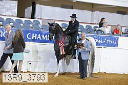 13r9_3793 proof