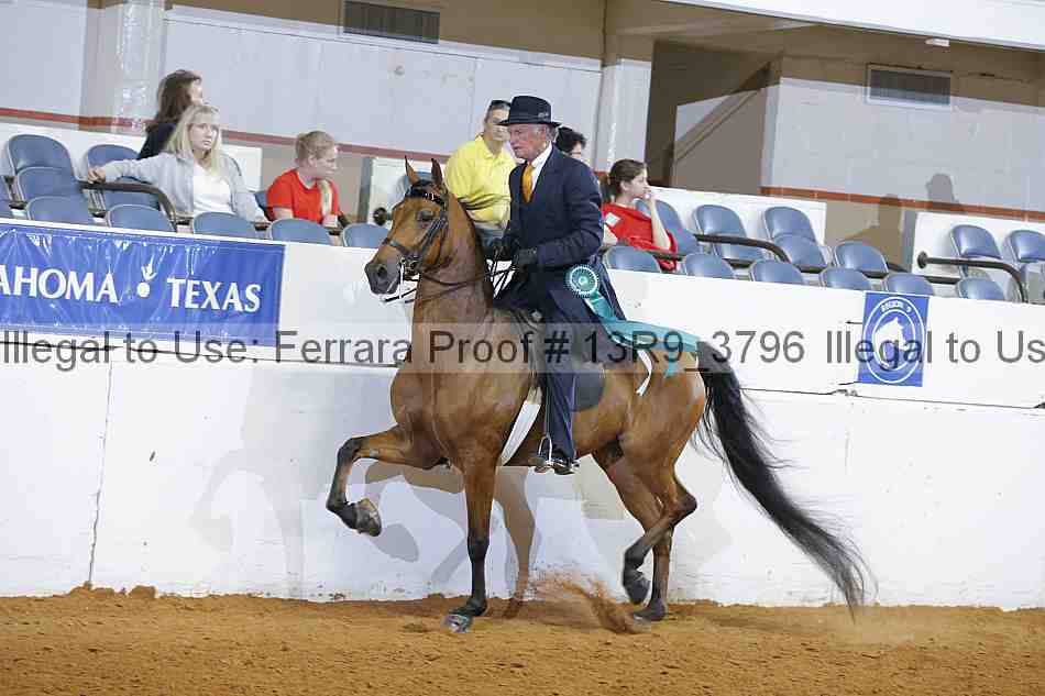 Proof 13r9_3796