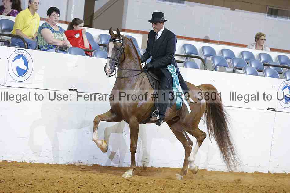 Proof 13r9_3801
