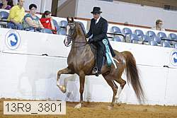 13r9_3801 proof