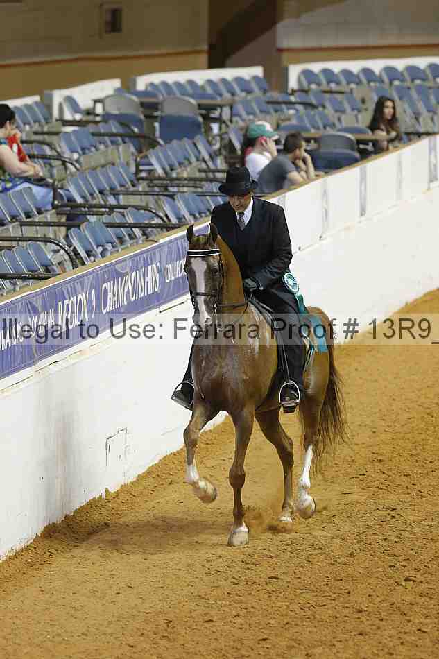 Proof 13r9_3803