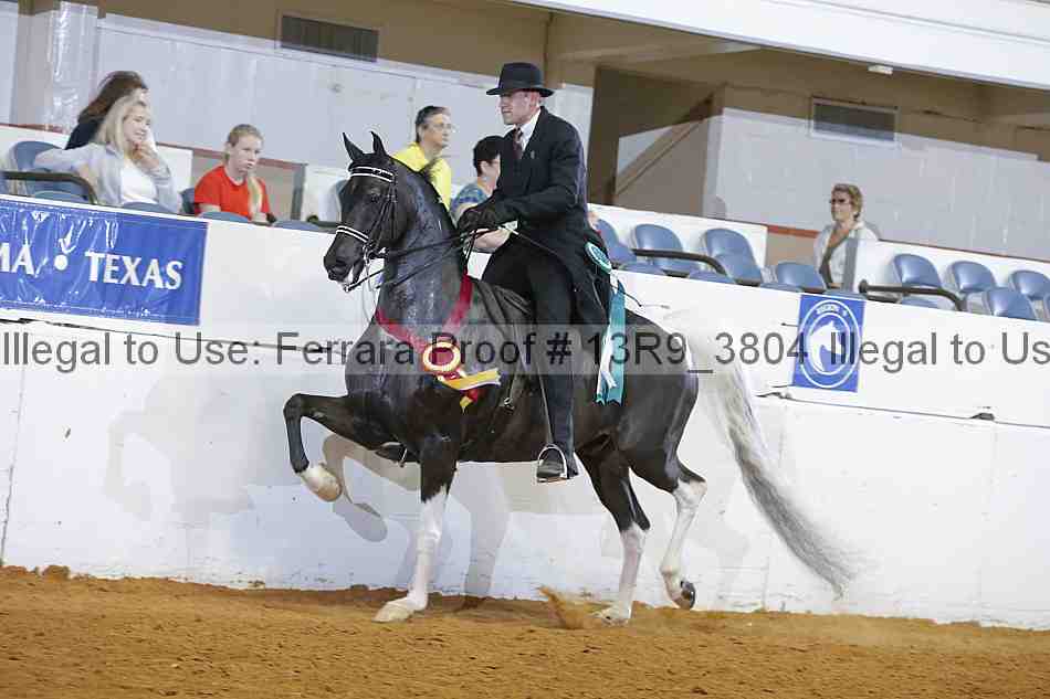 Proof 13r9_3804