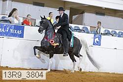 13r9_3804 proof