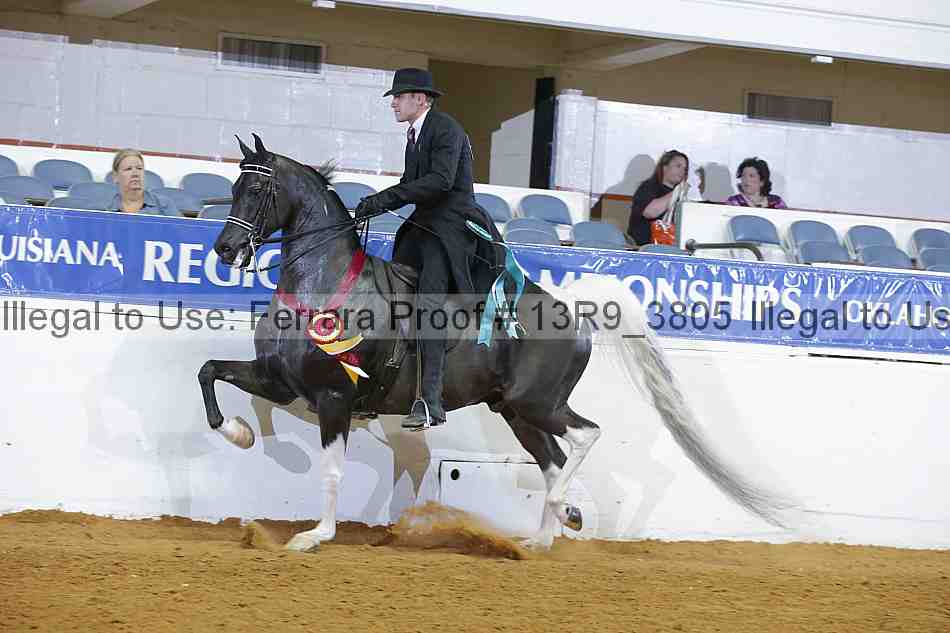 Proof 13r9_3805
