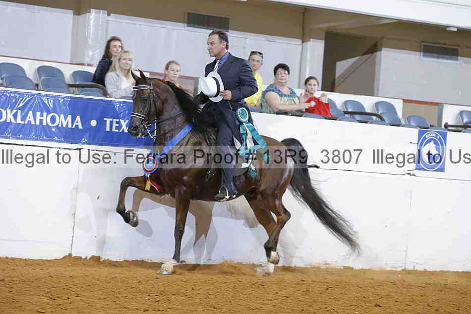 Proof 13r9_3807