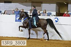 13r9_3809 proof
