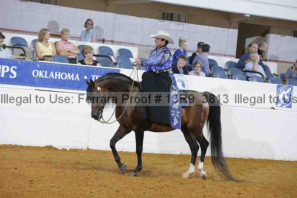 Proof 13r9_3813