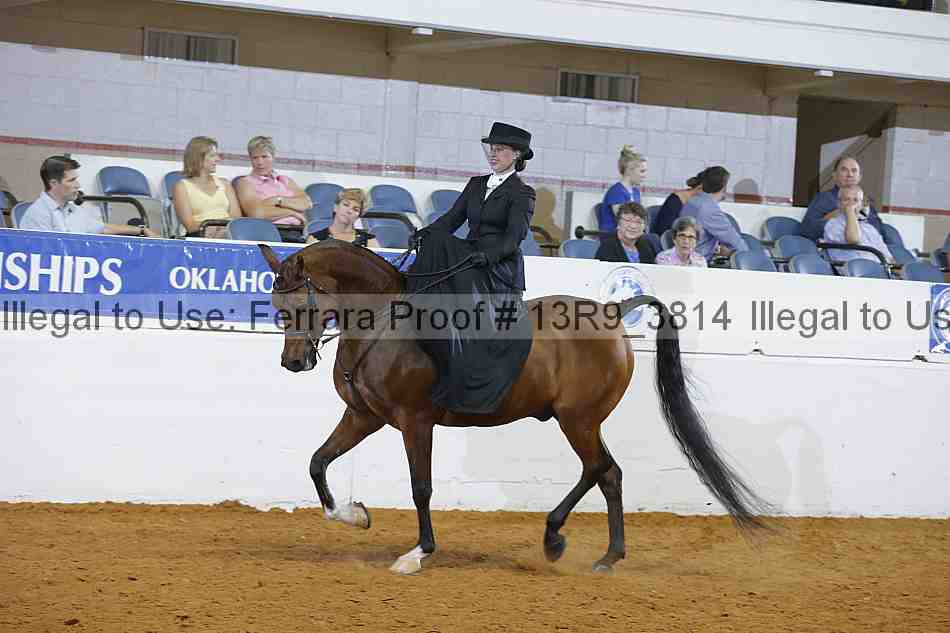 Proof 13r9_3814