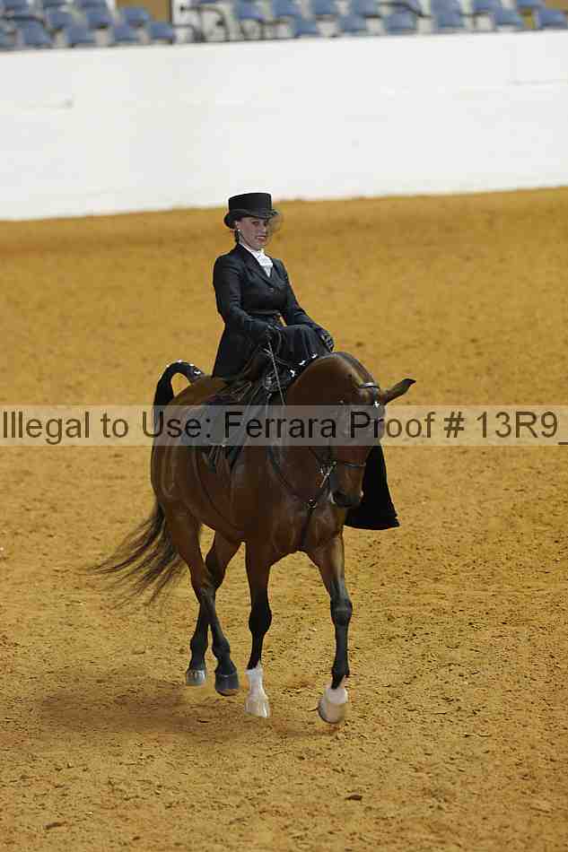 Proof 13r9_3820