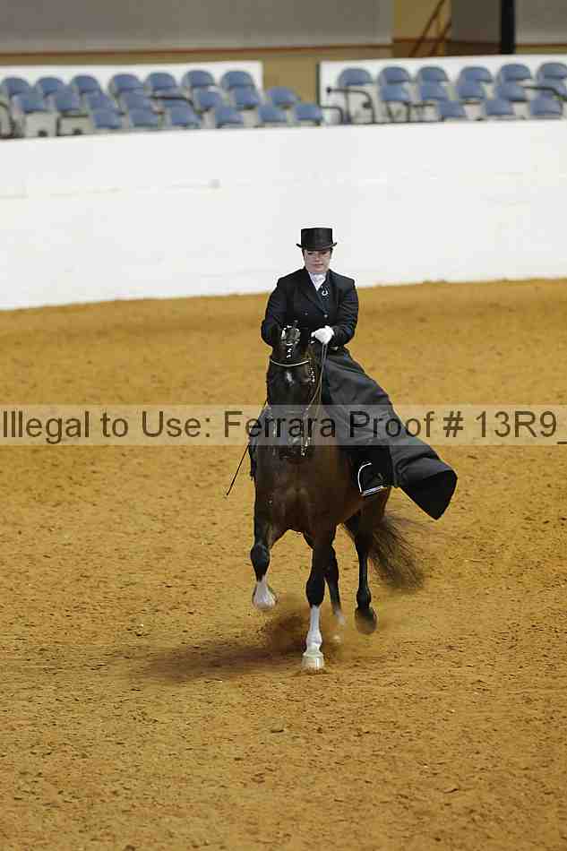Proof 13r9_3831