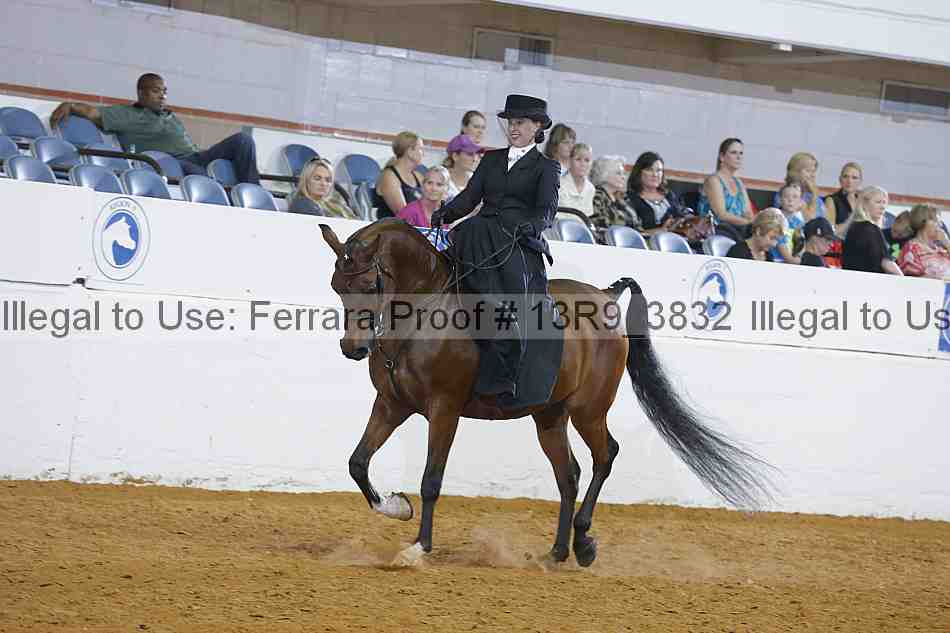 Proof 13r9_3832