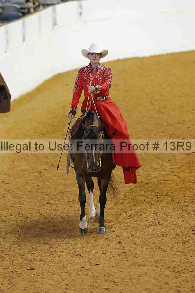 Proof 13r9_3835