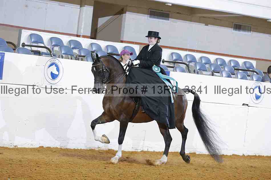Proof 13r9_3841