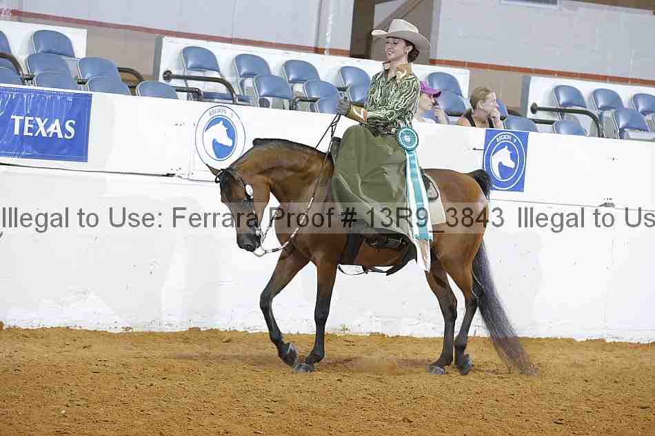 Proof 13r9_3843