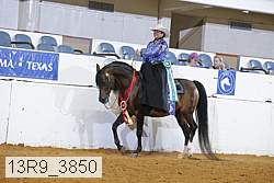 13r9_3850 proof