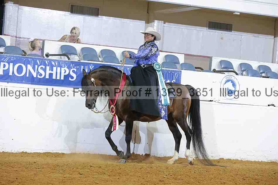 Proof 13r9_3851