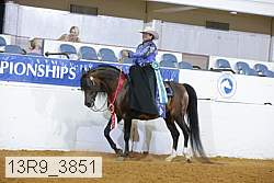 13r9_3851 proof