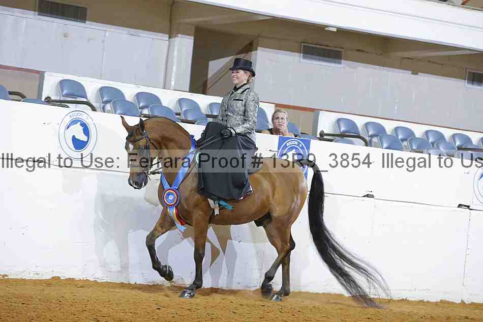 Proof 13r9_3854