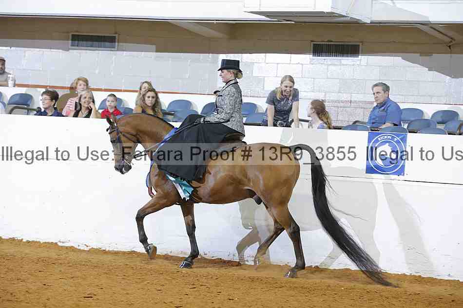 Proof 13r9_3855