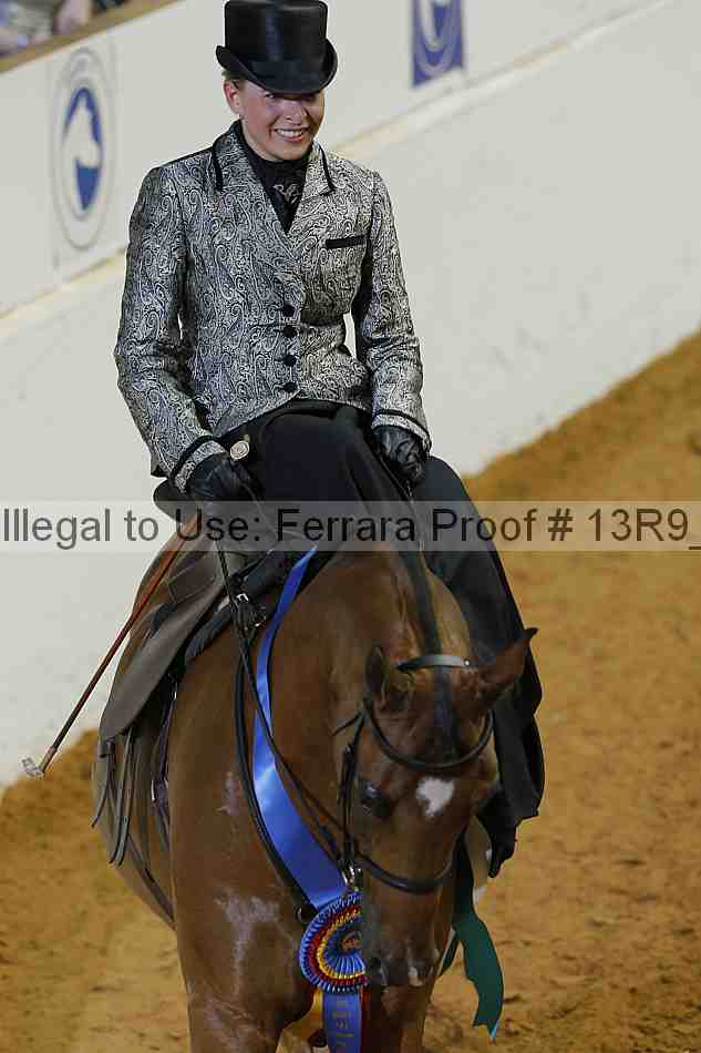 Proof 13r9_3859