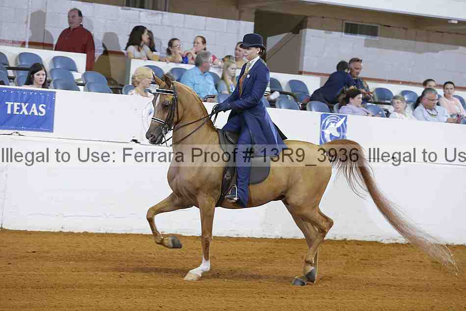Proof 13r9_3936