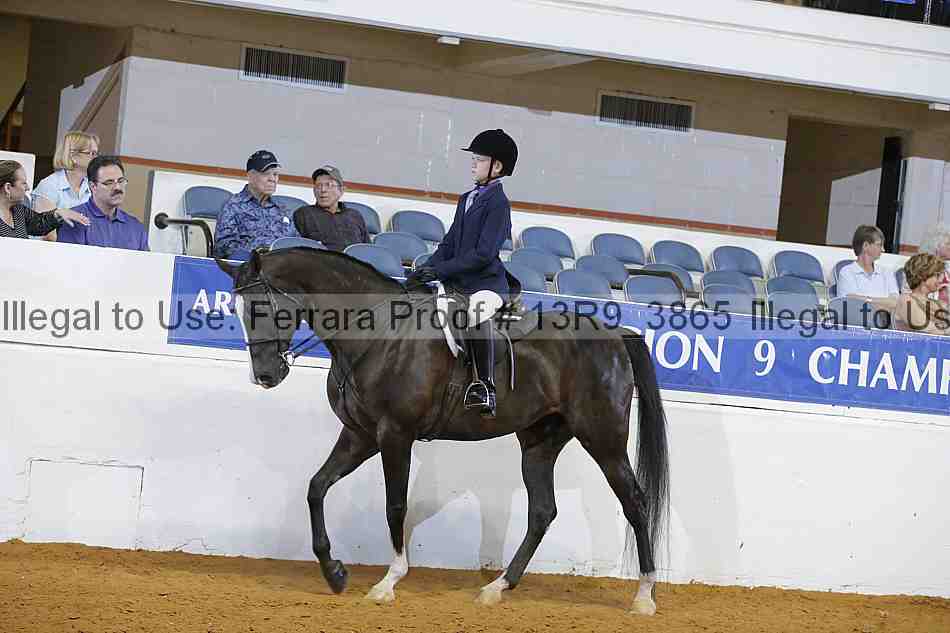 Proof 13r9_3865