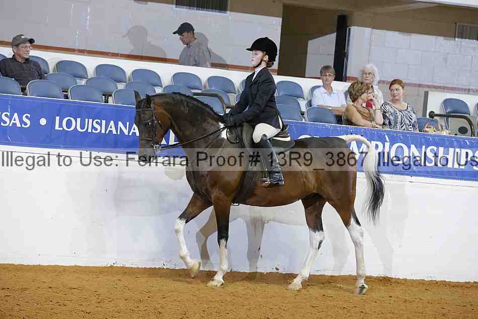 Proof 13r9_3867