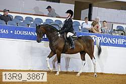 13r9_3867 proof
