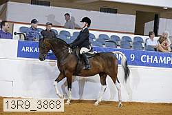13r9_3868 proof
