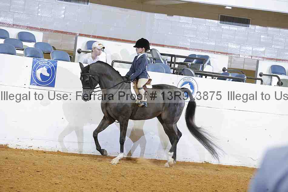 Proof 13r9_3875