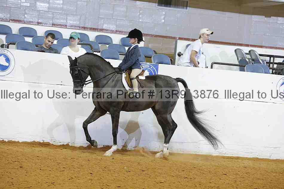 Proof 13r9_3876