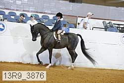 13r9_3876 proof